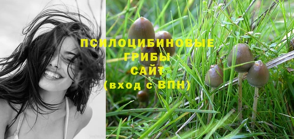 2c-b Нея