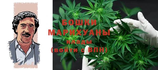 не бодяженный Надым