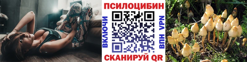 Псилоцибиновые грибы MAGIC MUSHROOMS  Нюрба 
